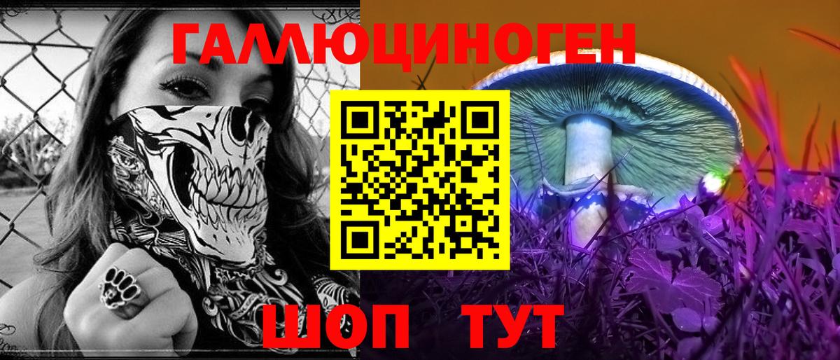 Белебей  Псилоцибиновые грибы MAGIC MUSHROOMS  Вход с VPN  Галлюциногенные грибы Cubensis 